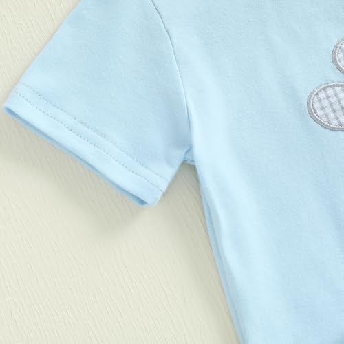 Baby Boy Easter Set with Bunny Carrot Embroidery