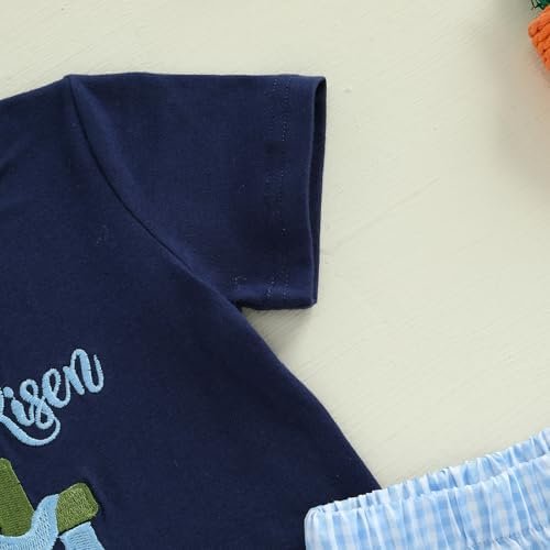 Bunny Carrot Toddler Outfit Set