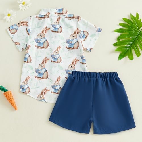 Easter Outfit Toddler Boy Button Down Shirt Shorts Set