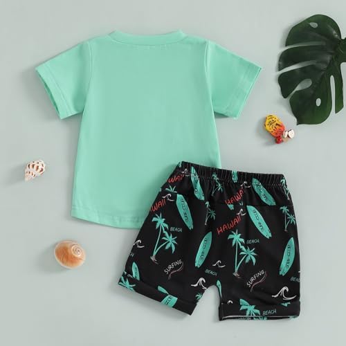 Toddler Boy Summer Clothes Set with Hawaiian Shirts and Shorts