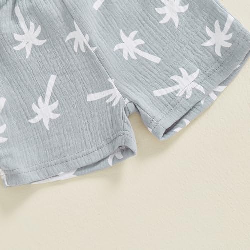 Cute Toddler Boys Beach Outfit Palm Print Short Sleeve 2PCS Beach Set