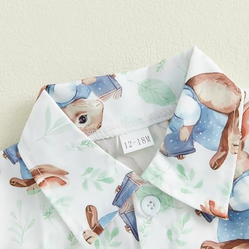 Easter Outfit Toddler Boy Button Down Shirt Shorts Set