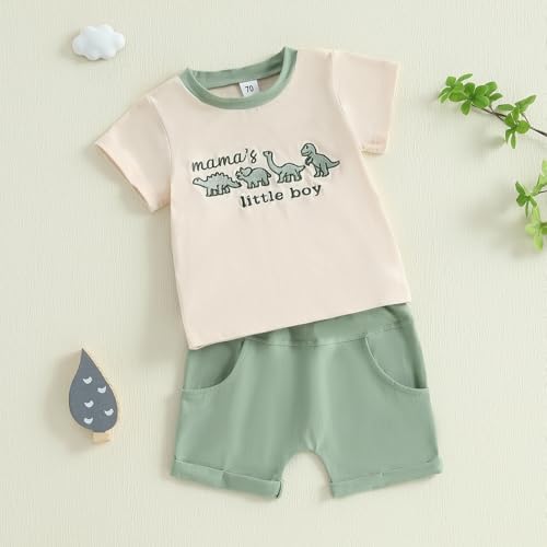 Afunbaby Baby Boy Dinosaur Print Short Set