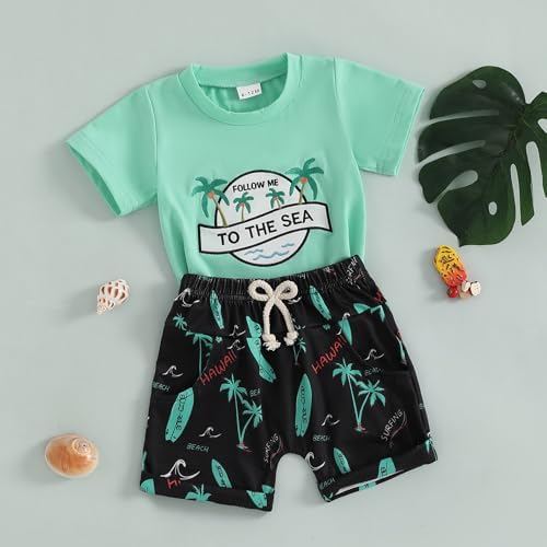Toddler Boy Summer Clothes Set with Hawaiian Shirts and Shorts