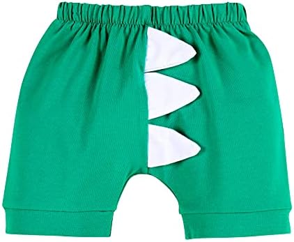 Baby Boys 1st Birthday Dinosaur Space Fishing Shorts