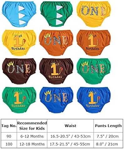 Wild One Dinosaur Space 1st Birthday Diaper Covers