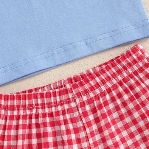 4th of July Popsicle Toddler Boy Outfit Set T-Shirt and Shorts