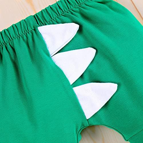 IMEKIS Baby Boys Dinosaur 1st Birthday Set