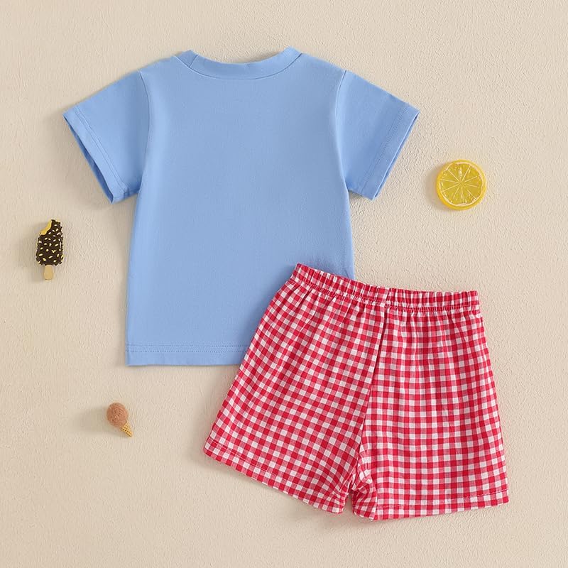 4th of July Popsicle Toddler Boy Outfit Set T-Shirt and Shorts