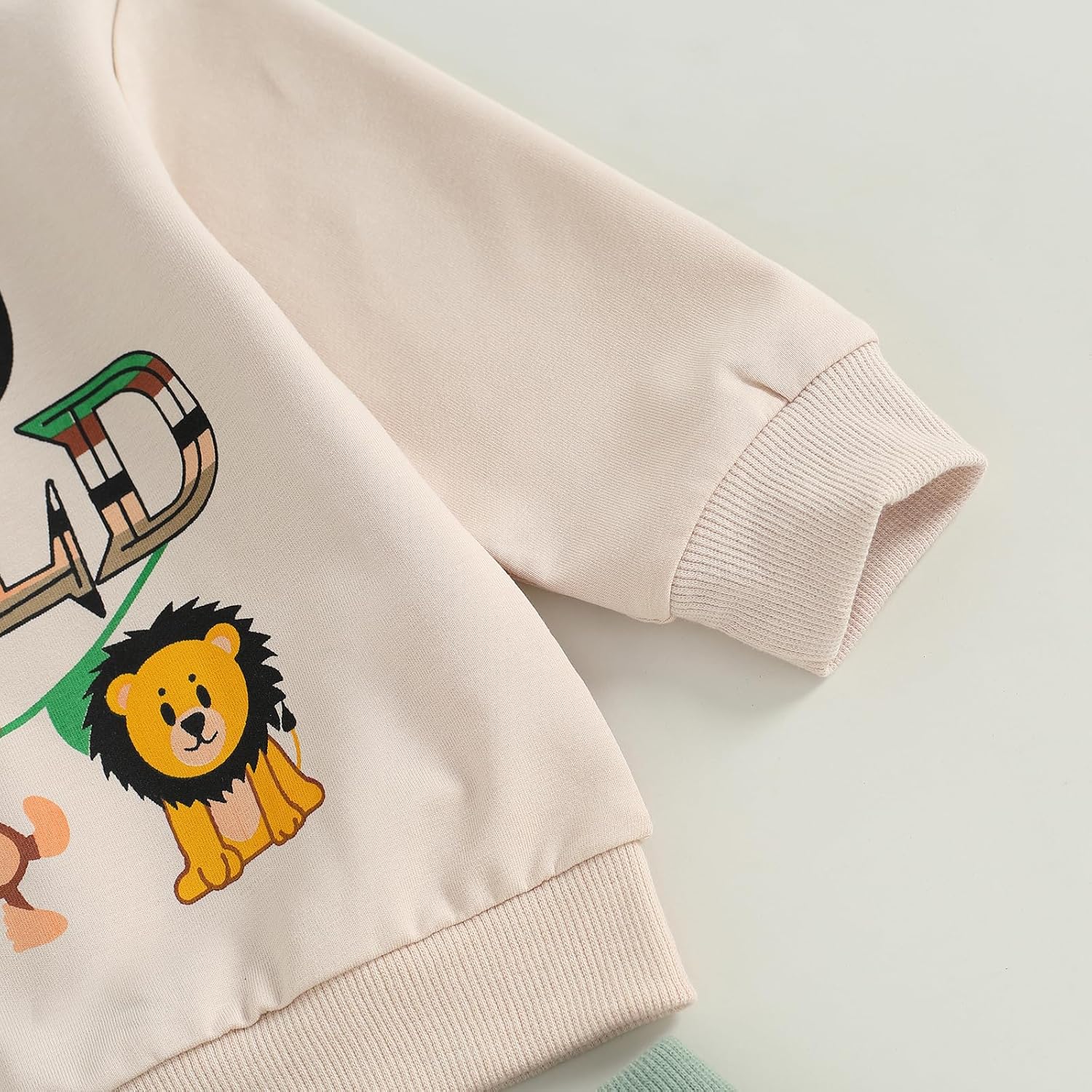 Canis Toddler Baby Boys 1st 2nd Birthday Set