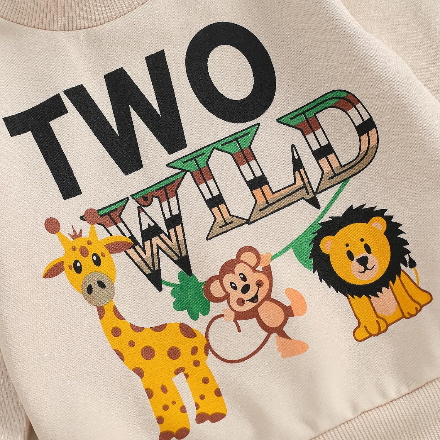 Canis Toddler Baby Boys 1st 2nd Birthday Set